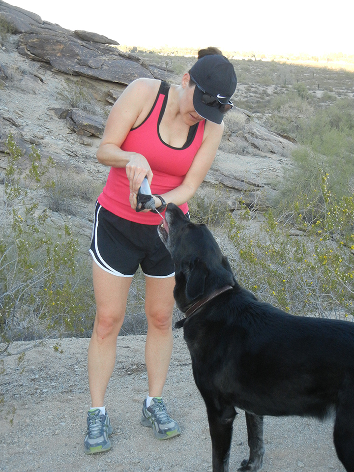 Hydrating Rocco on South Mountain